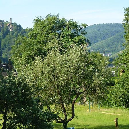 Feriendomizil Im Plantert Lägenhet Traben-Trarbach Exteriör bild