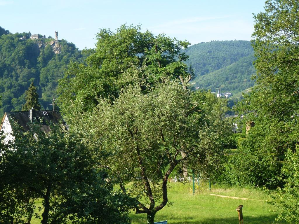 Feriendomizil Im Plantert Lägenhet Traben-Trarbach Exteriör bild